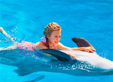 Sphinx Travel Services